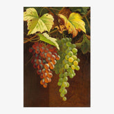 Andrew John Henry Way - Two Bunches of Grapes - Poster
