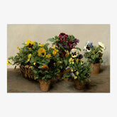 Henri Fantin-Latour - Pansies - Poster