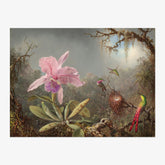 Martin Johnson Heade - Cattleya Orchid and Three Hummingbirds - Poster