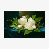 Martin Johnson Heade - Giant Magnolias on a Blue Velvet Cloth - Poster