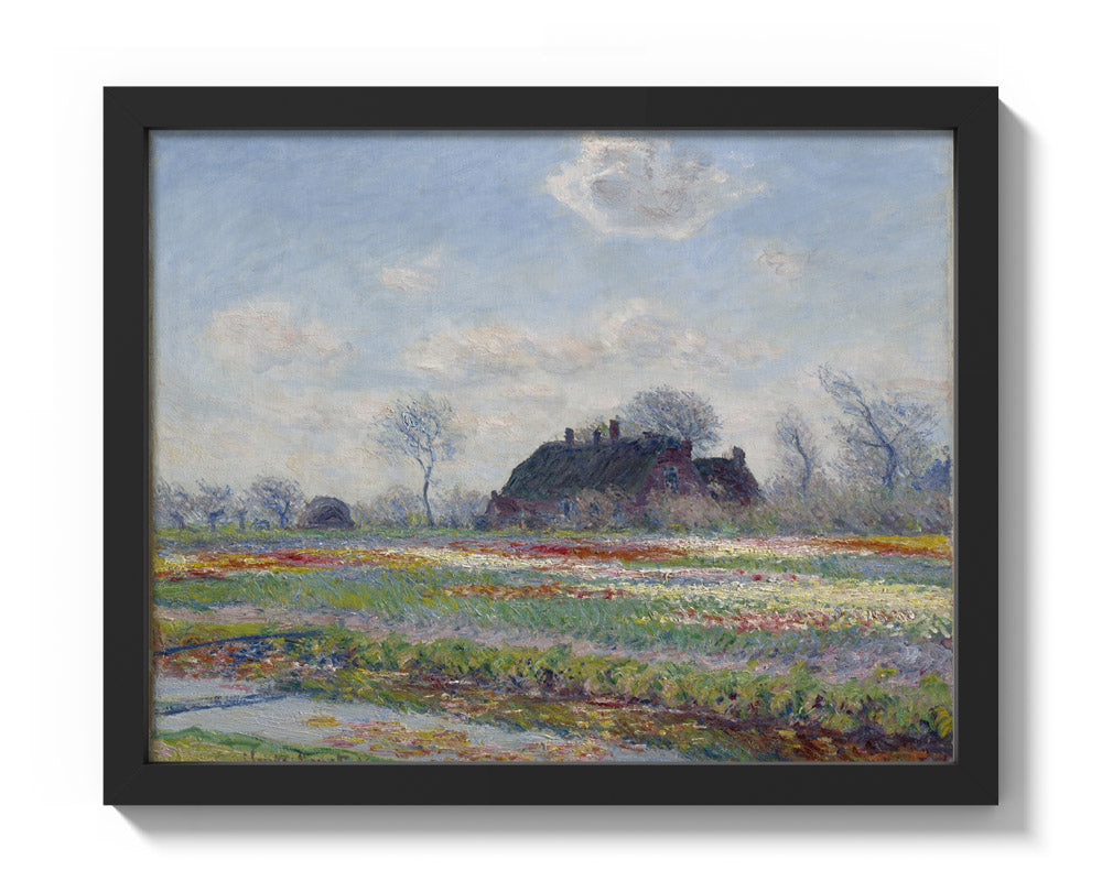 Claude Monet - Tulip Fields at Sassenheim – monalisaprints