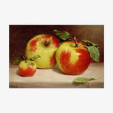 William Rickarby Miller - Study of Apples from Nature - Poster
