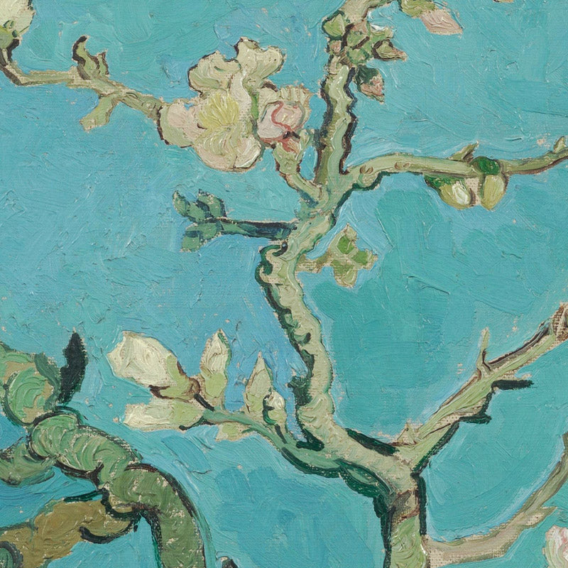 Almond Blossom by Vincent van Gogh - 0_66488c4cbc76b73548b8c973