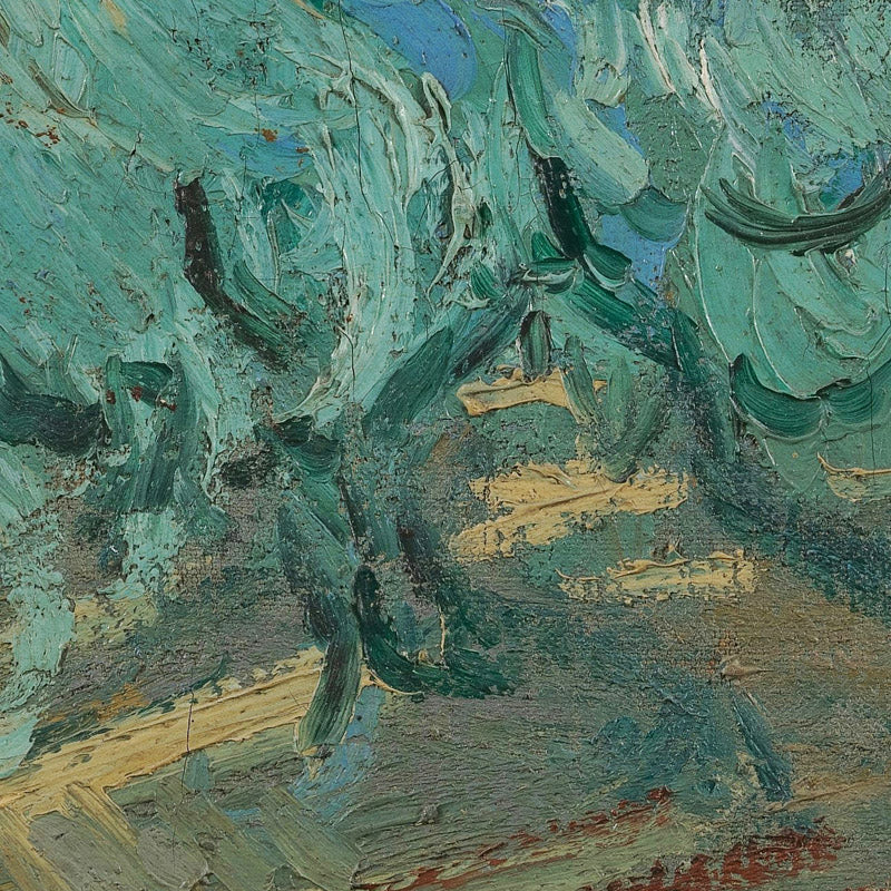 Olive Grove by Vincent van Gogh - 0_66488f75bc76b73548b8c999