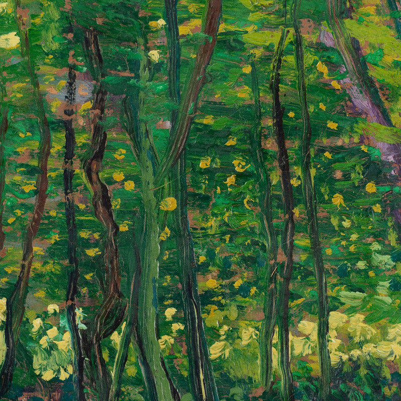 Trees and Undergrowth by Vincent van Gogh - 0_66489018bc76b73548b8c9a1