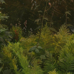 Study of Ferns by Hans Gude - 0_66b0f9371000f9bb7f31f6a5