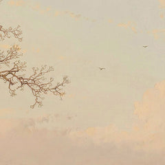 A Frozen Canal near the River Maas by Andreas Schelfhout - 0_66fc596e8213847b6f3579b9