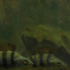 Pike and Perch in an Aquarium by Gerrit Willem Dijsselhof - 0_66fe6bcd8213847b6f357bd8