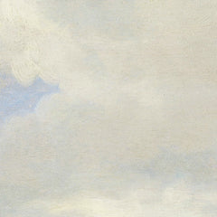 View of the Merwede off Dordrecht by Jeronymus van Diest II - 0_66fe6d978213847b6f357bd9