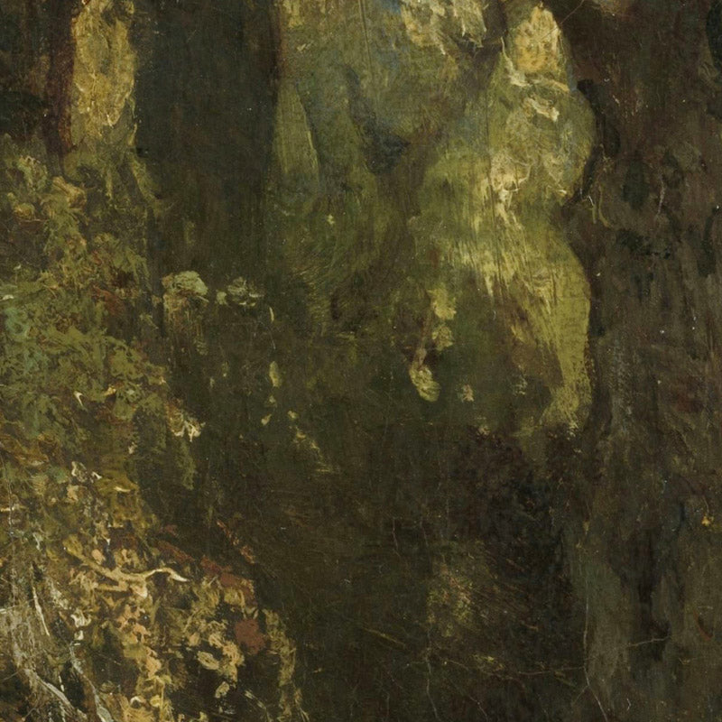 View in the Woods by Johannes Warnardus Bilders - 0_66fe7f808213847b6f357c05