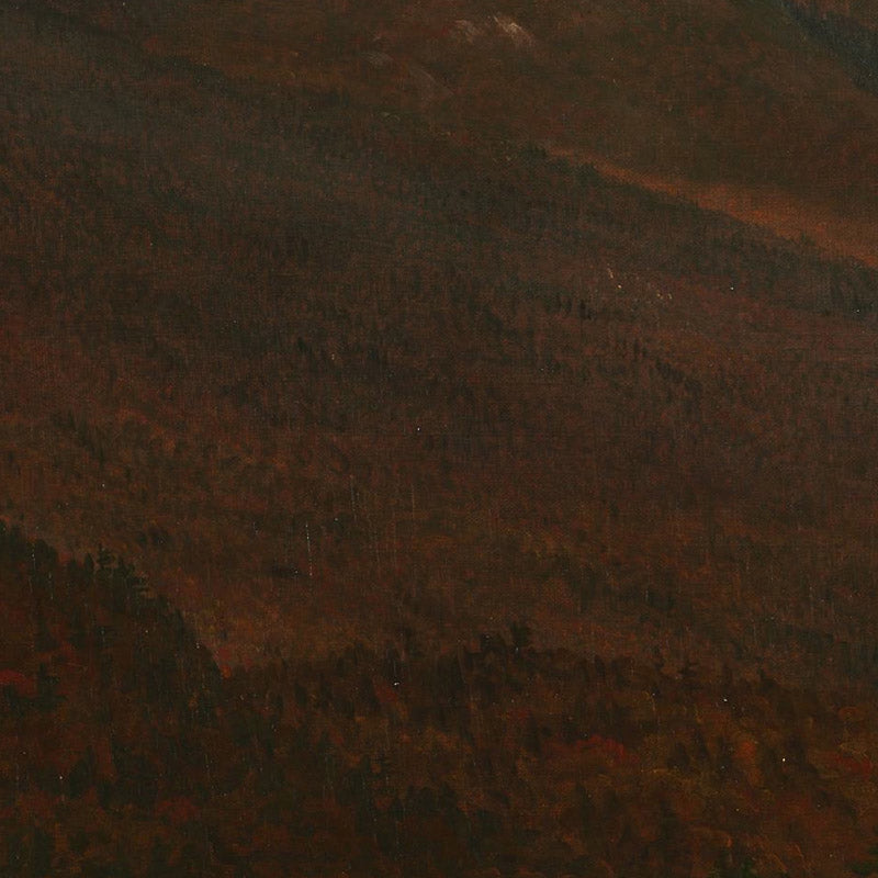 View of Schroon Mountain, Essex County, New York, After a Storm by Thomas Cole - 0_67103459762cab4eff78712f