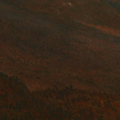 View of Schroon Mountain, Essex County, New York, After a Storm by Thomas Cole - 0_67103459762cab4eff78712f