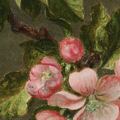 Apple Blossoms by Martin Johnson Heade - 0_67104255762cab4eff7871f9