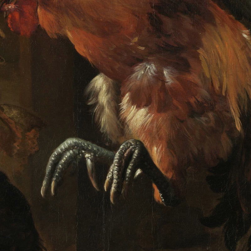 A Rooster and Turkey Fighting by Melchior de Hondecoeter - 0_671045d4762cab4eff78720d