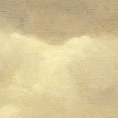 View of Arnhem by Jan van Goyen - 0_6716463f3d19ba02d7207441