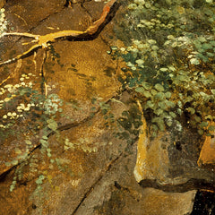 The Cave by Pierre Etienne Théodore Rousseau - 0_67164fec79e456cb766b906b