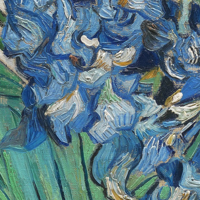 Irises by Vincent van Gogh - 0_6731286212f9211d49d3d6f0