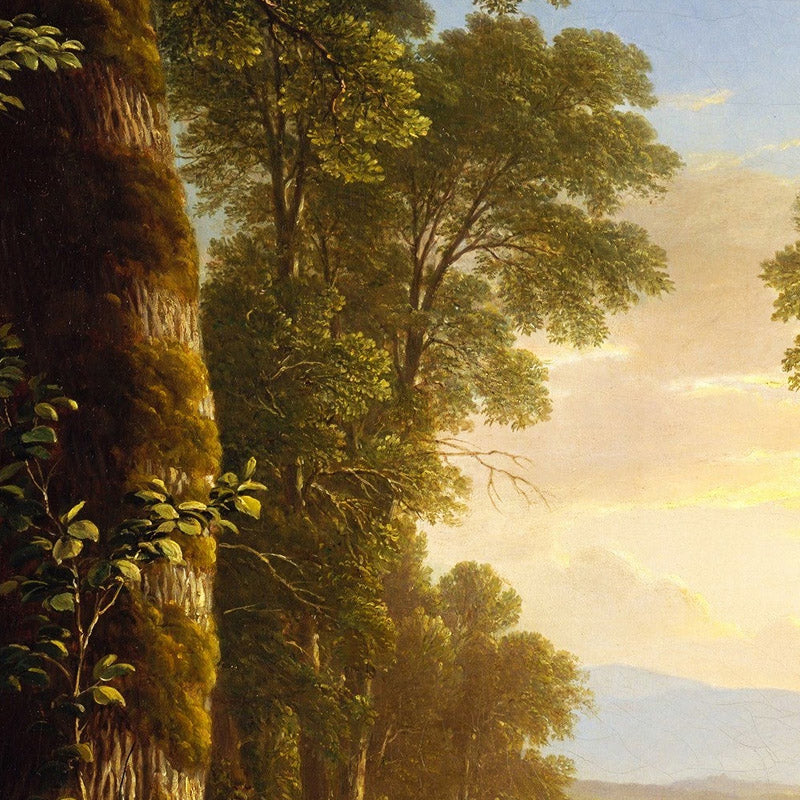 The Beeches by Asher Brown Durand - 0_67312a3b12f9211d49d3d710