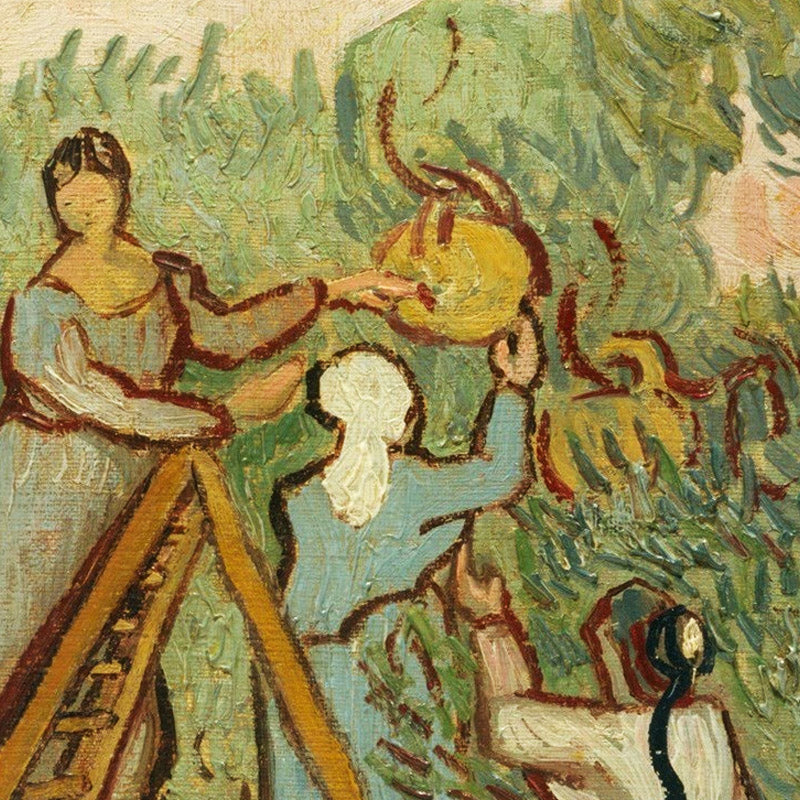 Women Picking Olives by Vincent van Gogh - 0_67312b0012f9211d49d3d71f