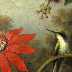 Hummingbird and Passionflowers by Martin Johnson Heade - 0_67312b2a12f9211d49d3d724