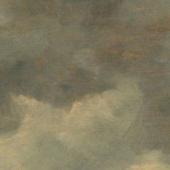 View of Haarlem and the Haarlemmer Lake by Jan van Goyen - 0_67312f3412f9211d49d3d772