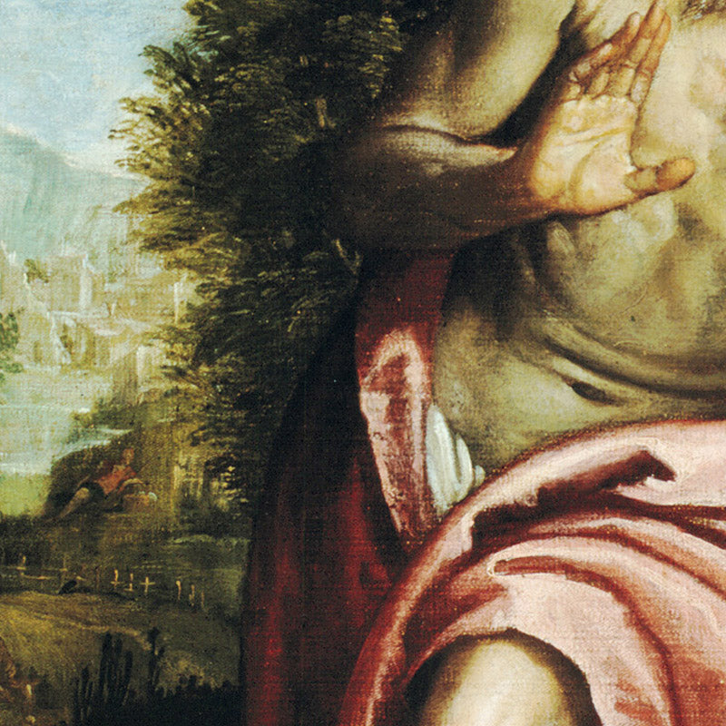 Saint Jerome in the Wilderness by Paolo Veronese - 0_67390994746ff704b89f8870