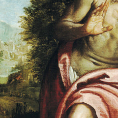 Saint Jerome in the Wilderness by Paolo Veronese - 0_67390994746ff704b89f8870