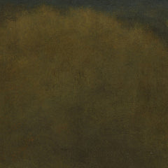 Sunlit Valley by George Inness - 0_67392ea5746ff704b89f892a