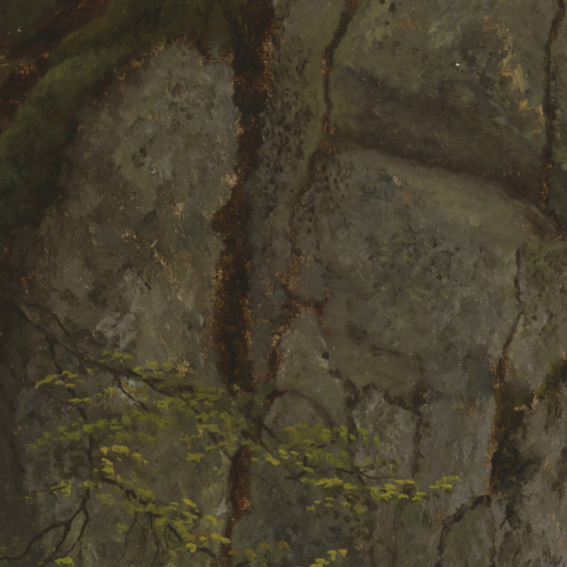 Study of Rocks in Pearson's Ravine by Asher Brown Durand - 0_67392fd7746ff704b89f893b