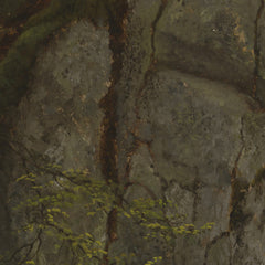 Study of Rocks in Pearson's Ravine by Asher Brown Durand - 0_67392fd7746ff704b89f893b
