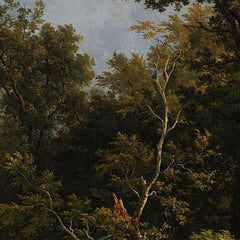Forest landscape by Josef Feid - 0_673ca27b5e0c5e198f5ec5a5
