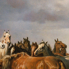 Horses on the Puszta by Franz Adam - 0_673ca5ea5e0c5e198f5ec5bb