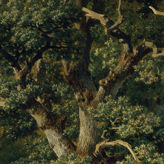 Oak forest by Remigius Adrianus van Haanen - 0_673cad7d5e0c5e198f5ec5ec