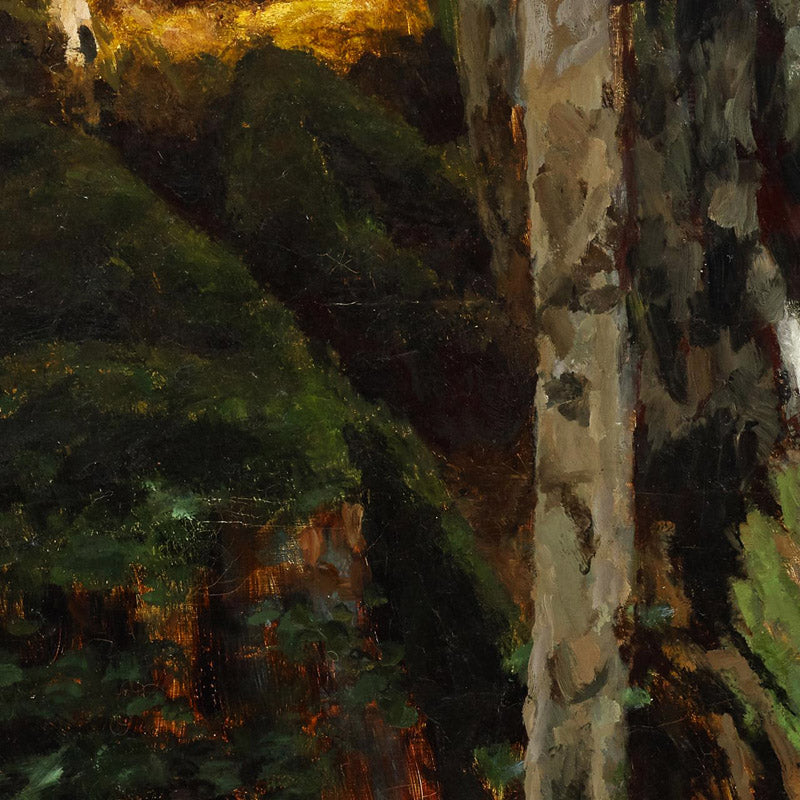 Forest interior near Saut du Doubs by Carl Schuch - 0_673cb8c05e0c5e198f5ec62e