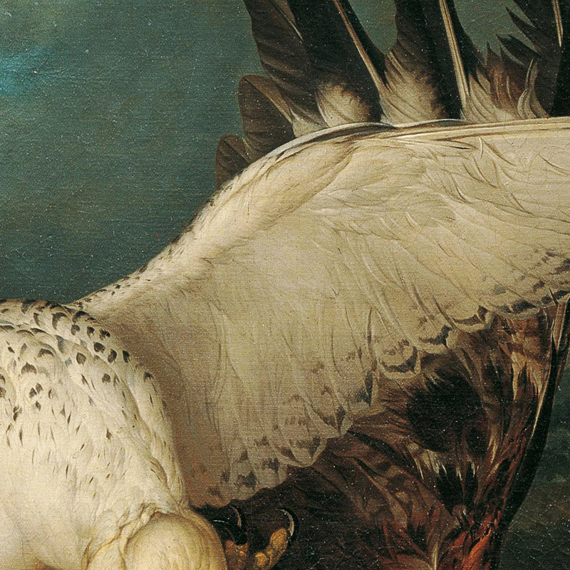 A red kite defeated by Icelandic falcons by Philipp Ferdinand de Hamilton - 0_673cc0165e0c5e198f5ec666