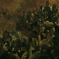 Southern Landscape with Cacti by Thomas Ender - 0_673cda975e0c5e198f5ec6b8