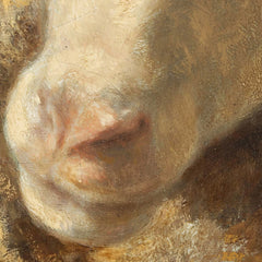 A Sheep by Anton Schrödl - 0_673cdd255e0c5e198f5ec6d7