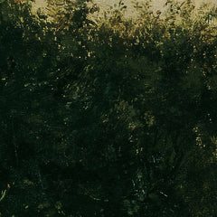 Landscape Study by Sigmund L'Allemand - 0_673cde875e0c5e198f5ec6f9