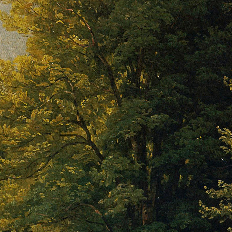 Forest landscape in the high mountains by Thomas Ender - 0_673cdf2b5e0c5e198f5ec70d