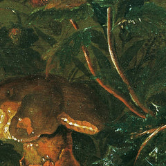 Patch of Grass with Strawberries and Cricket by Franz Michael Siegmund von Purgau the Elder - 0_673cdf3b5e0c5e198f5ec713