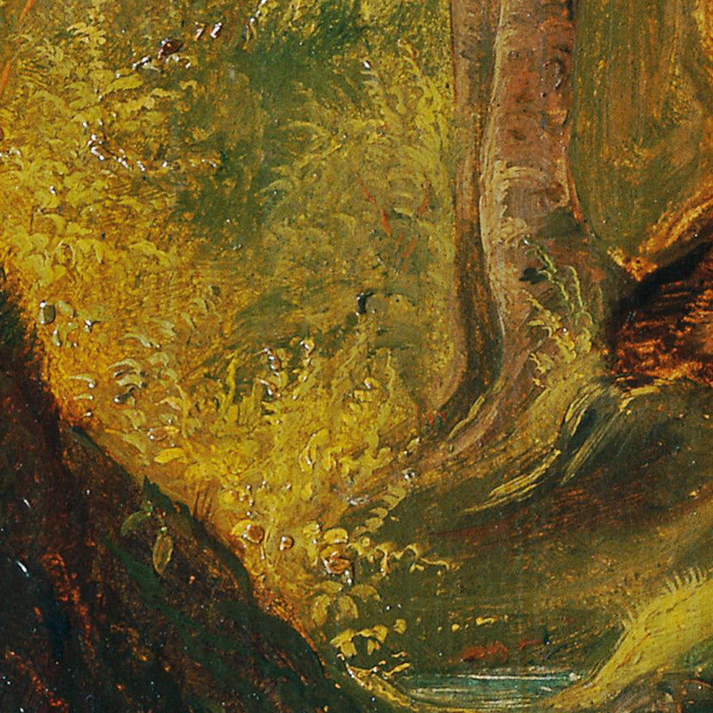 Forest stream by Johann Till der Jüngere - 0_673ce3825e0c5e198f5ec727