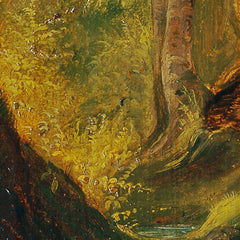 Forest stream by Johann Till der Jüngere - 0_673ce3825e0c5e198f5ec727