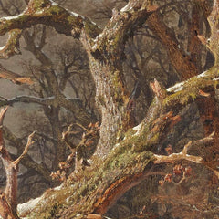 Winter landscape (winter forest) by Remigius Adrianus van Haanen - 0_673ce3c15e0c5e198f5ec731