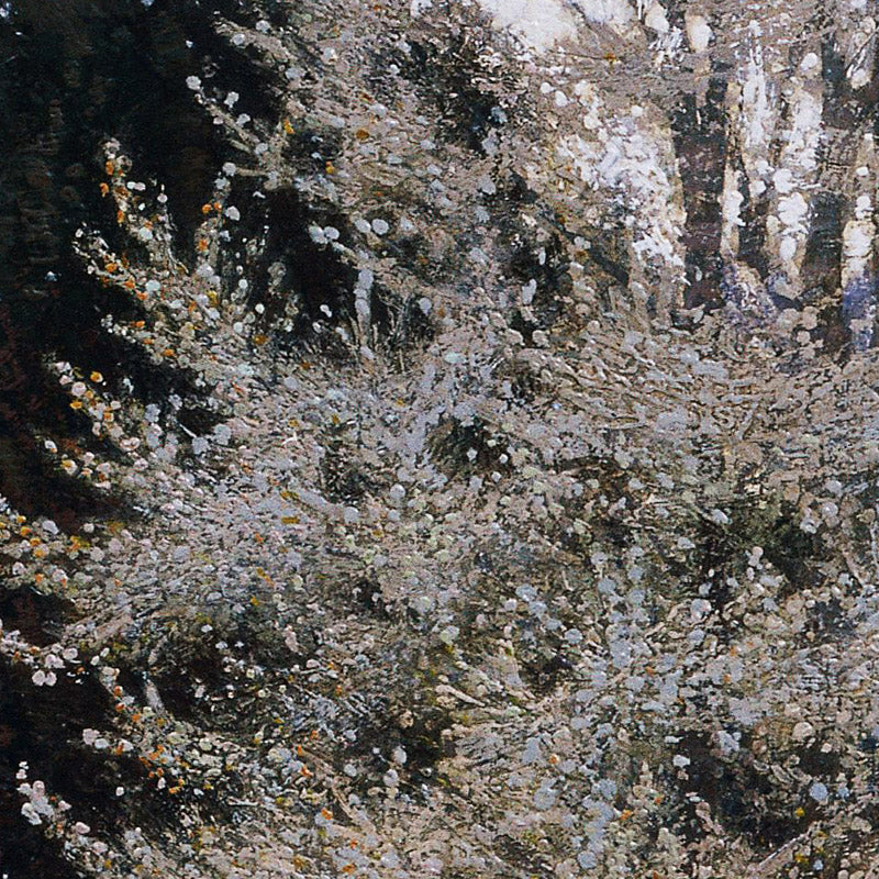 Spring in the Vienna Woods by Hans Wilt - 0_67433be5faa684e1cf4ba50e