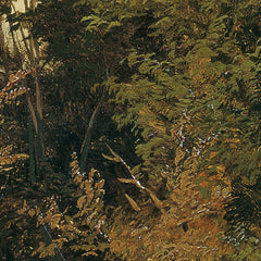 Forest landscape in Lower Austria by Anton Altmann der Jüngere - 0_67438084faa684e1cf4ba698