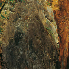 The Hohenzollern Waterfall in the Jainz Valley near the Sophien Double View near Ischl by Ferdinand Georg Waldmüller - 0_67438458faa684e1cf4ba6e2