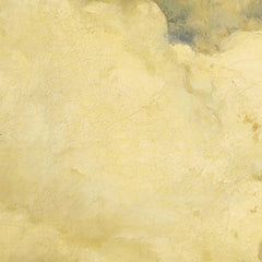 Water landscape with cows by Carl Schweninger the Elder - 0_6743850bfaa684e1cf4ba6ee