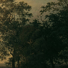 Rural landscape at evening dusk by Josef Feid - 0_6743876cfaa684e1cf4ba717