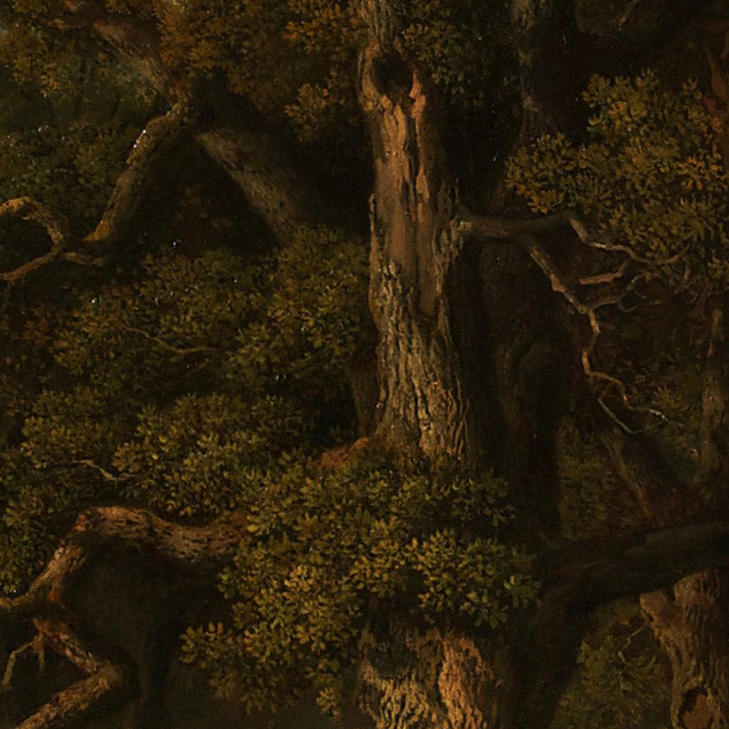 Forest landscape by August Maximilian Zimmermann - 0_67448233faa684e1cf4ba736