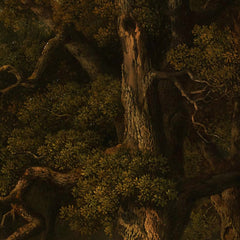 Forest landscape by August Maximilian Zimmermann - 0_67448233faa684e1cf4ba736